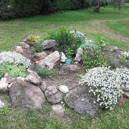 Bella Grecia * هانيوتي